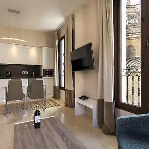 Siloe Plaza Apartment Granada