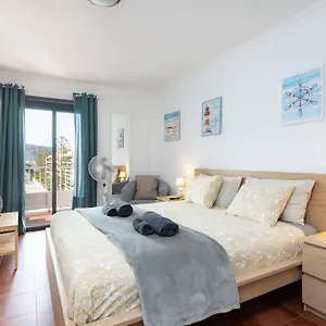 Buho Cristianos Los Cristianos (Tenerife)
